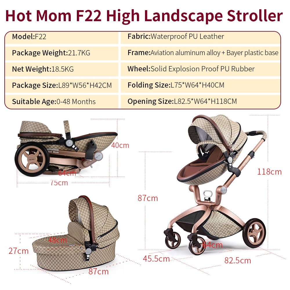 Baby Stroller 2-in-1 Travel System with Bassinet and High Landscape