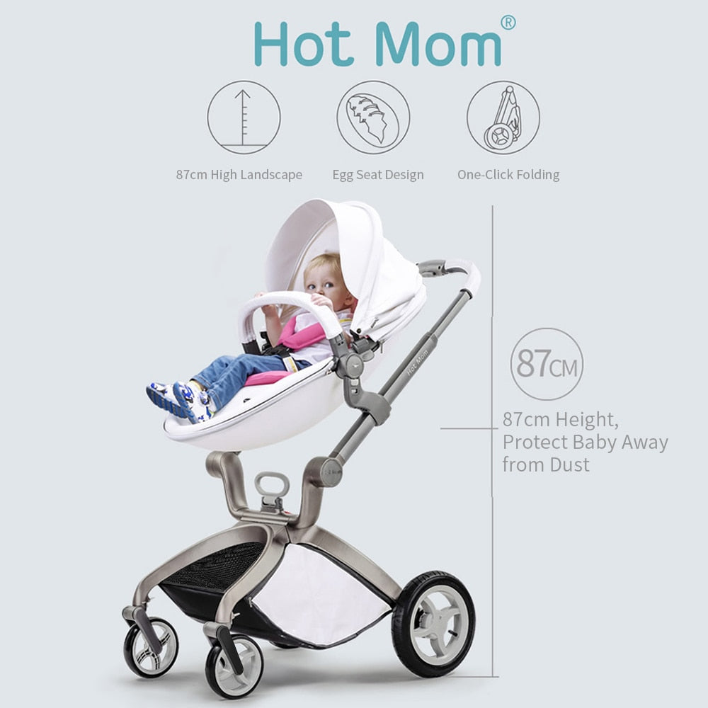 Baby Stroller 2-in-1 Travel System with Bassinet and High Landscape