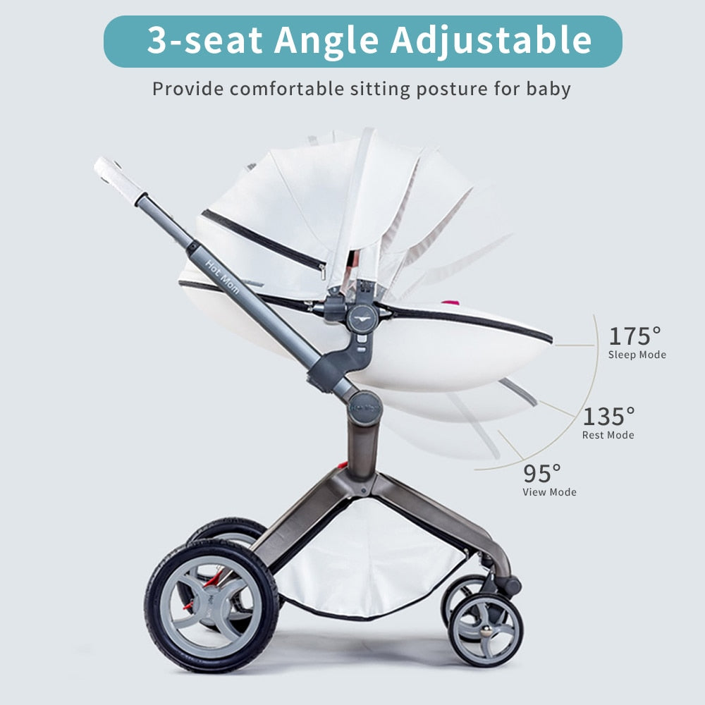 Baby Stroller 2-in-1 Travel System with Bassinet and High Landscape