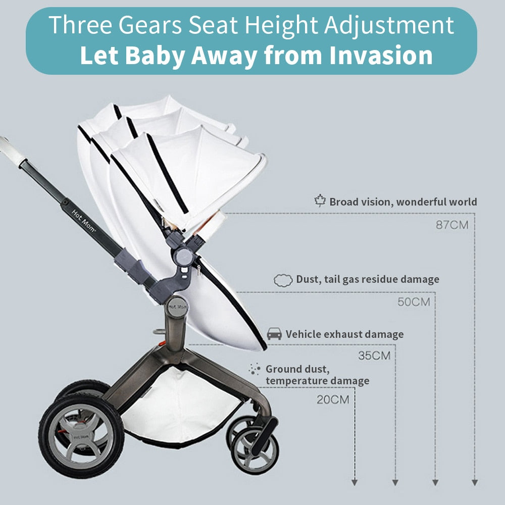 Baby Stroller 2-in-1 Travel System with Bassinet and High Landscape