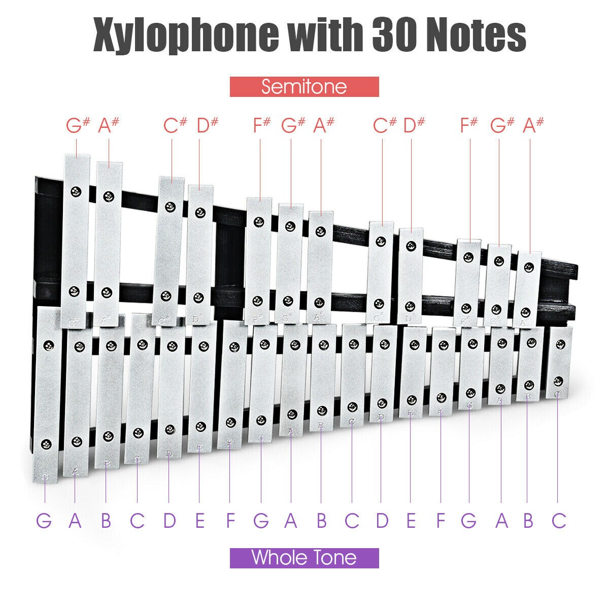 30 Note Foldable Kids Glockenspiel Xylophone