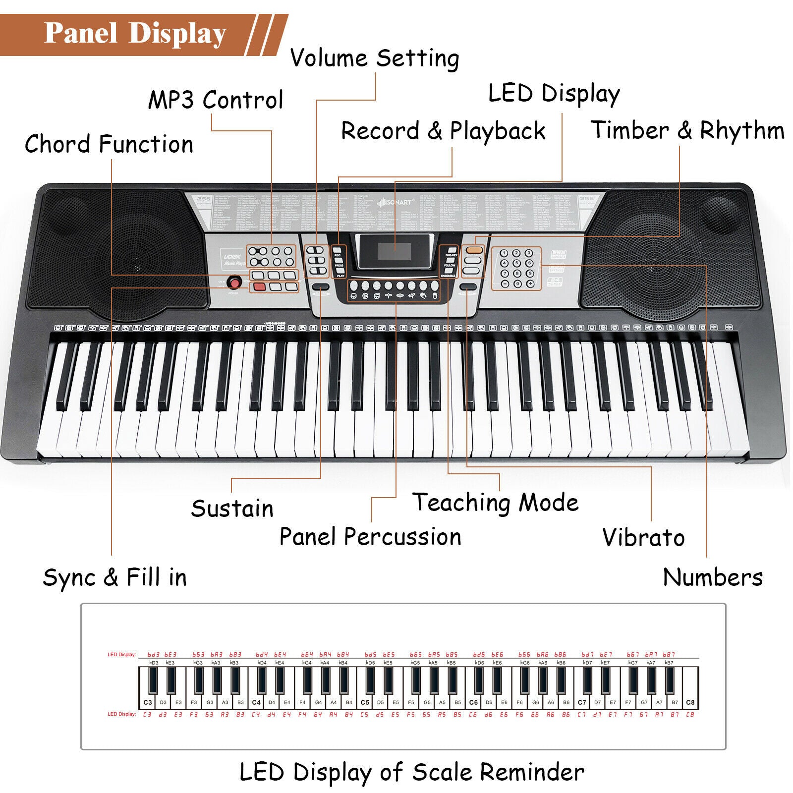 61-Key Electronic Piano Keyboard with Stand, Bench, Headphone and Microphone